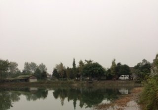 陈老二鱼塘