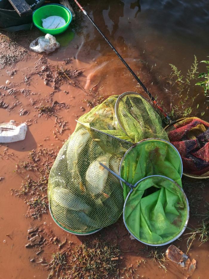 江登邑垂钓基地