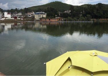 金海花园钓鱼场