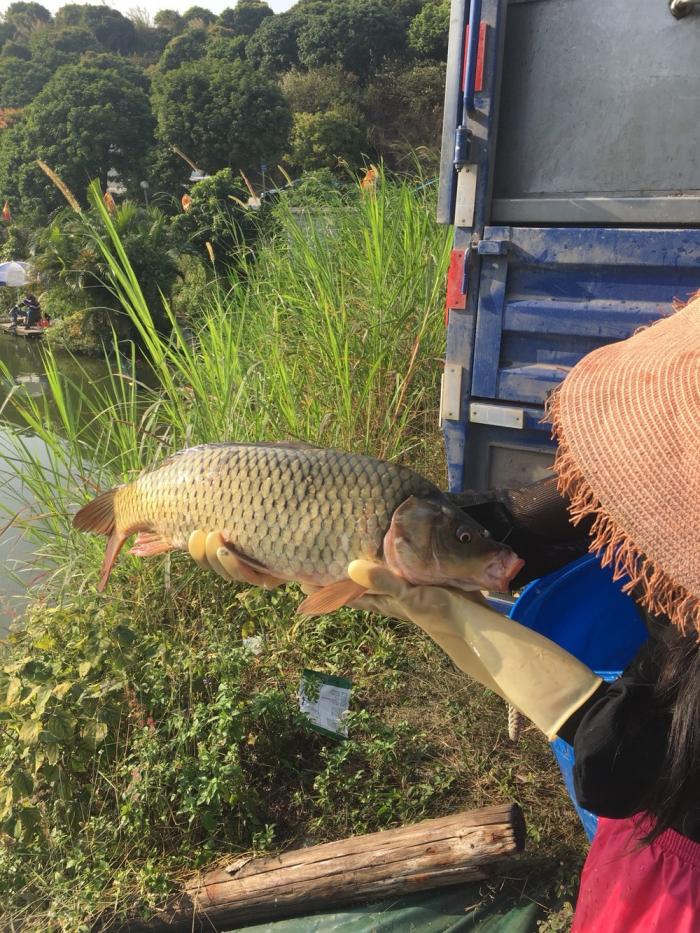 酒隆山庄钓鱼场