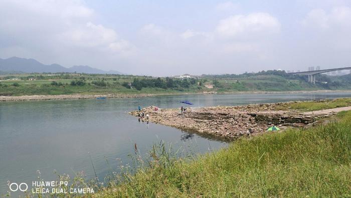 嘉陵江牛角沱钓点