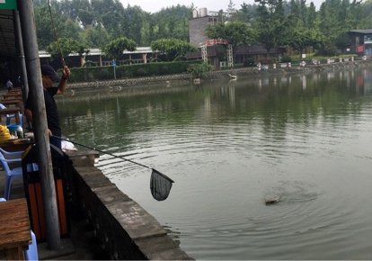 应龙湾生态农庄