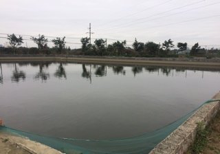 红鱼庄垂钓乐园