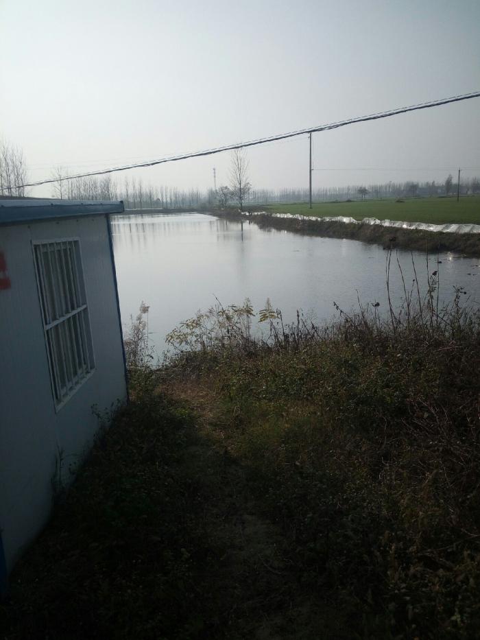 小李庄休闲垂钓园