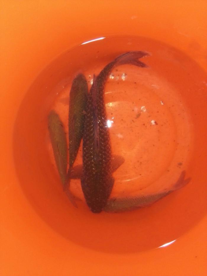 国云香生态农庄