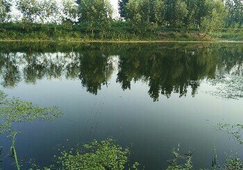沟泮河老大济路桥钓场