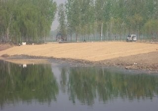 大兴安定凤河支流