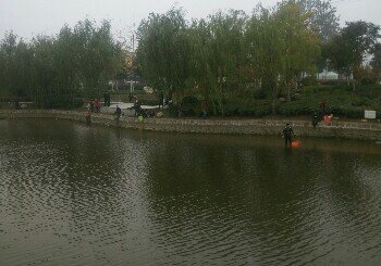 永兴路钓场