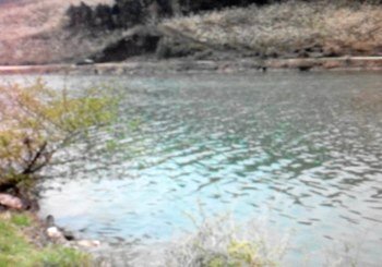 英落苇子沟水库