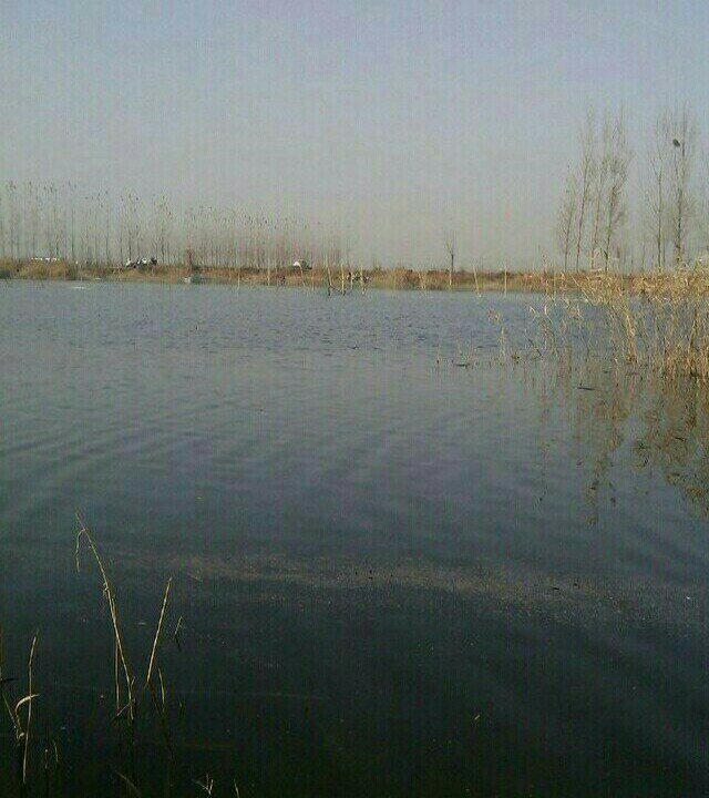 金堤河南二环钓场