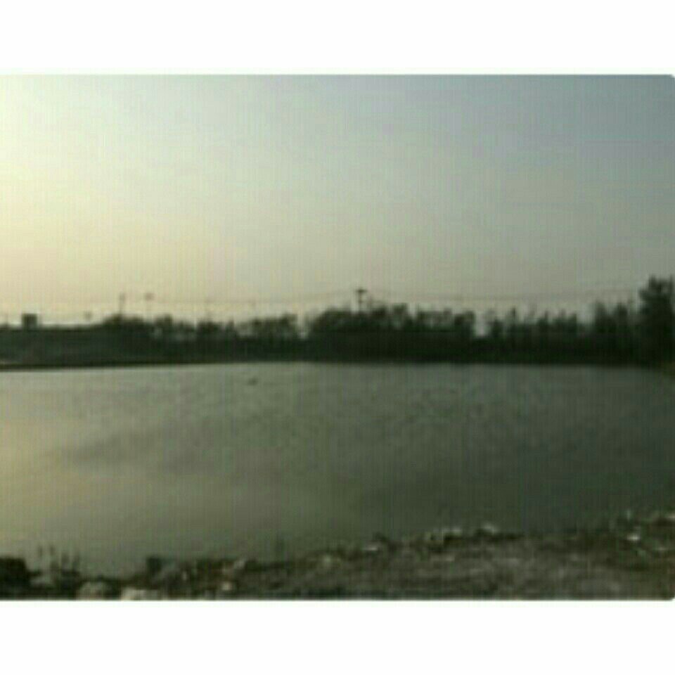 京福公路口垂钓园