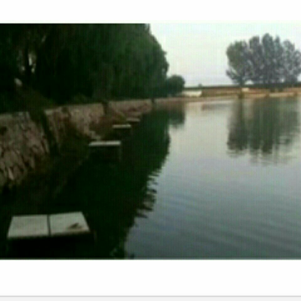 在水一方垂钓园