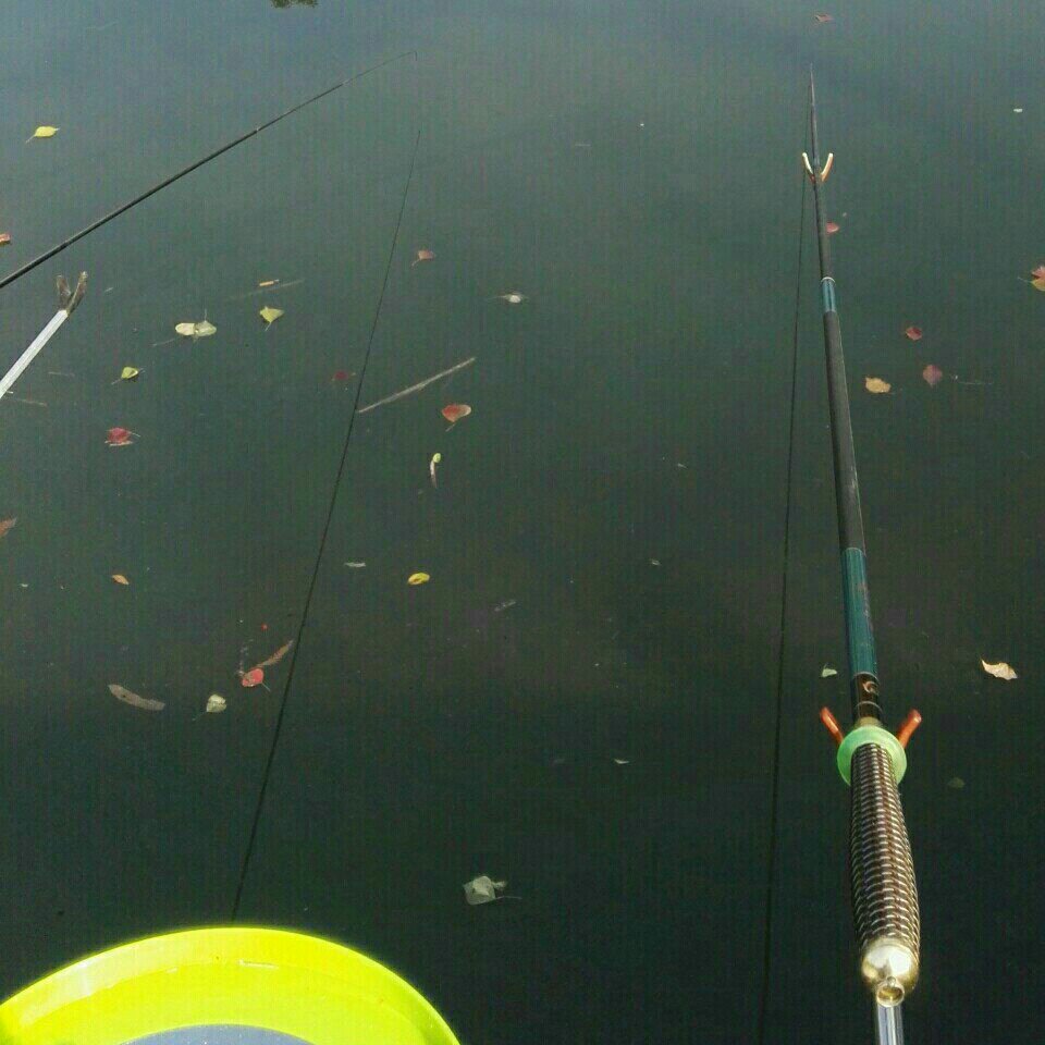 浦连路向阳河桥