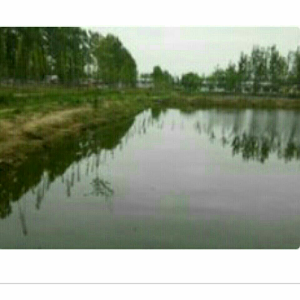 玉田苗里庄垂钓园