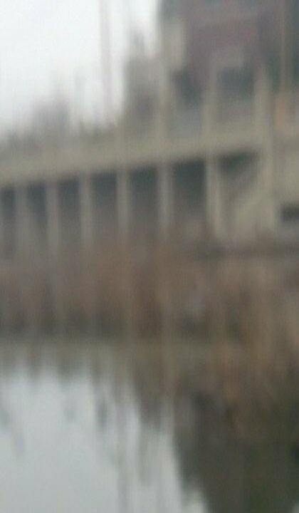 高城山隧道野河