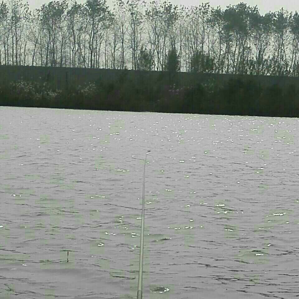 公安藕池镇杨林寺(长江支流)