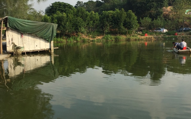 大目鱼池，窑花鸡，烤番薯