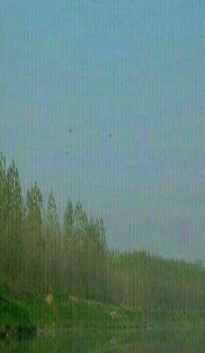 二广高速桥下沙坑