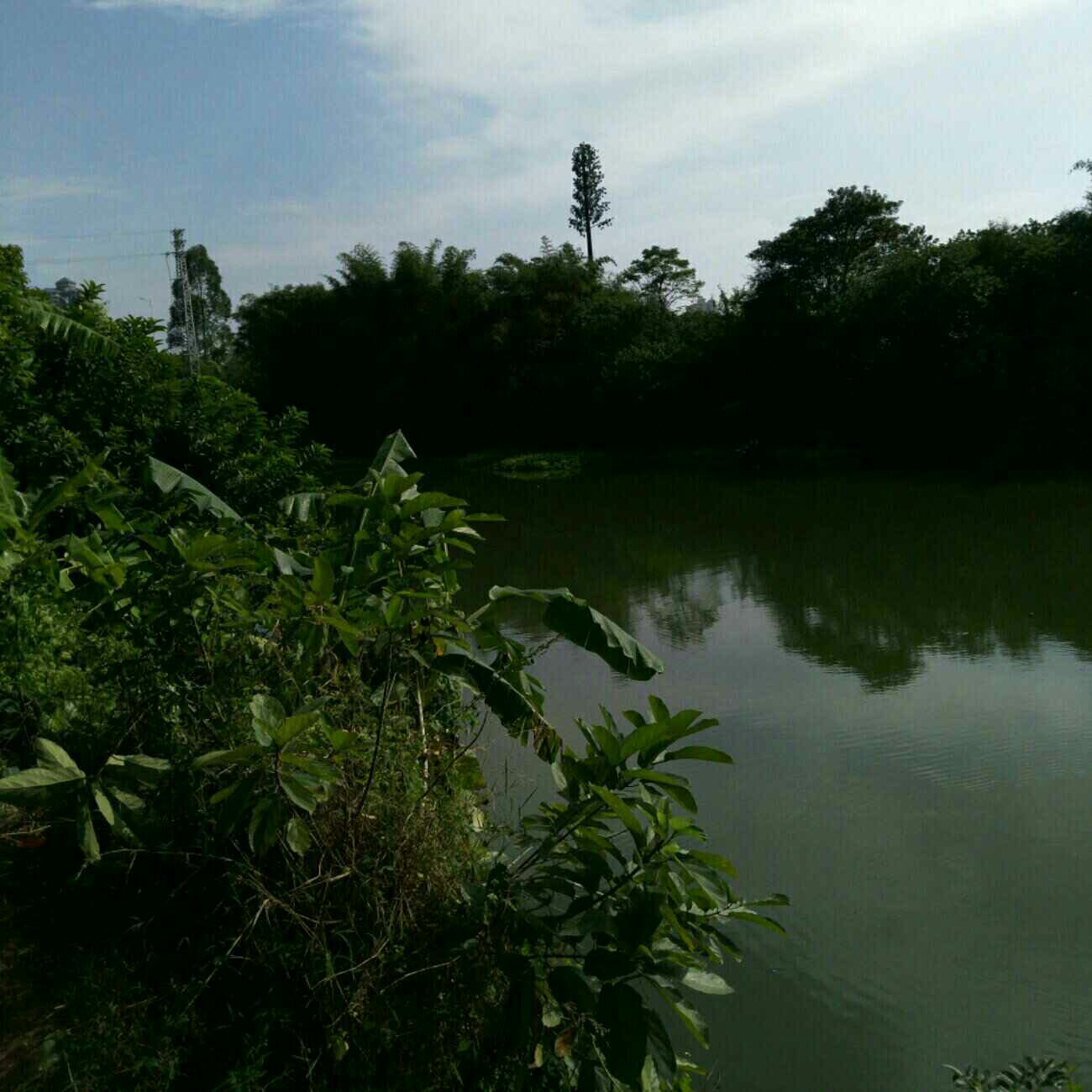 东江富力酒店江边