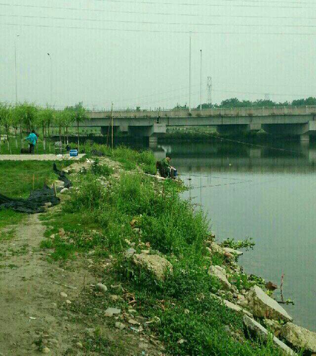 黄花园大桥钓场