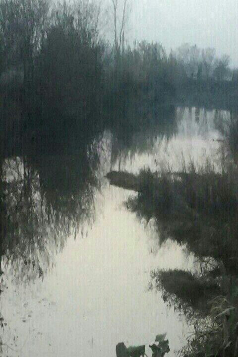 樊徐公路边活水河