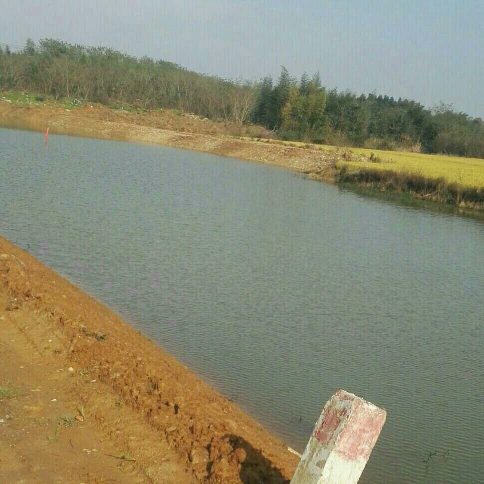 养鱼塘