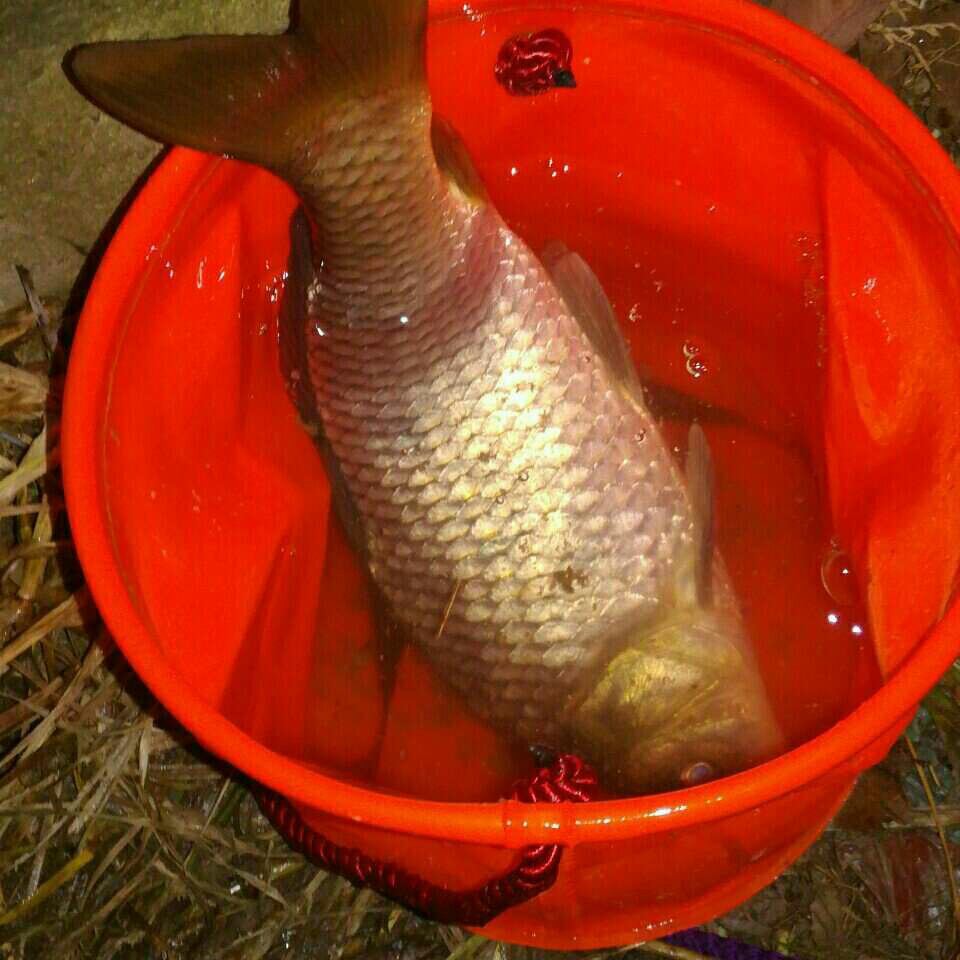 安福建材市场边