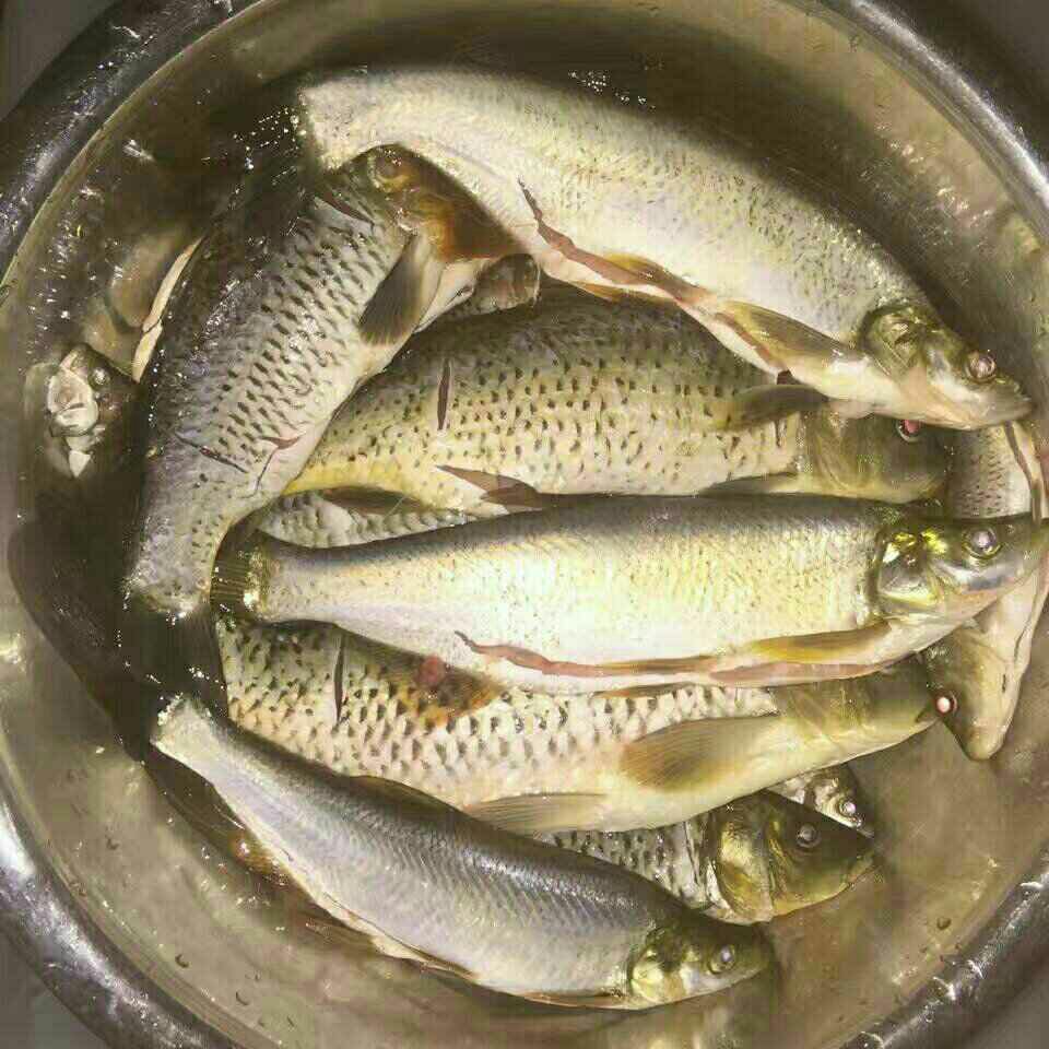 长潭水库上洋站