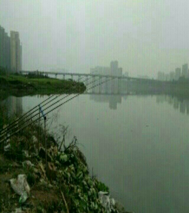 外江大桥钓点