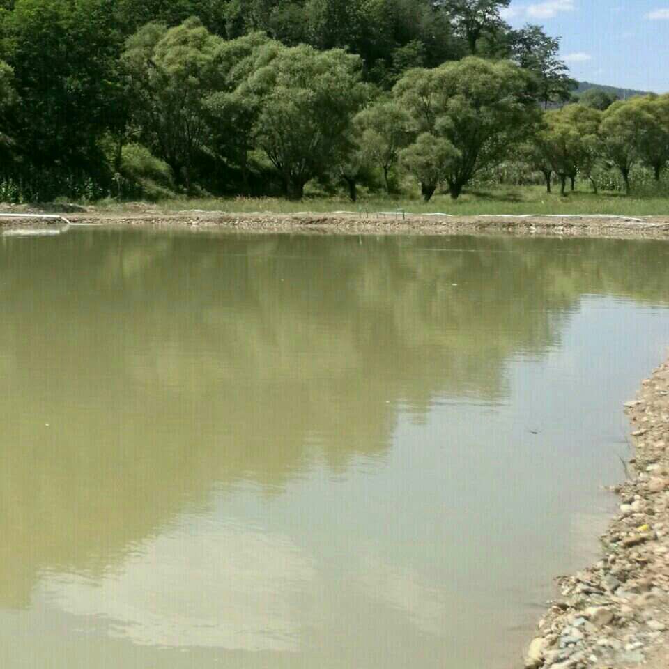 杜庄河岩滩钓场