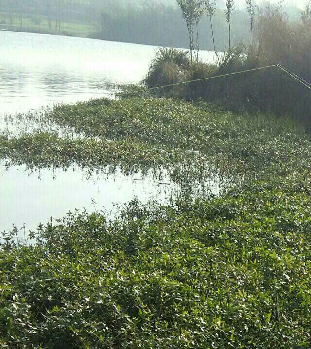 里河姜店高速桥下