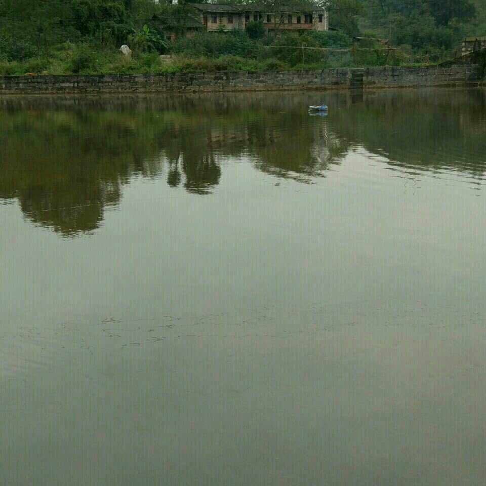 私人鱼塘