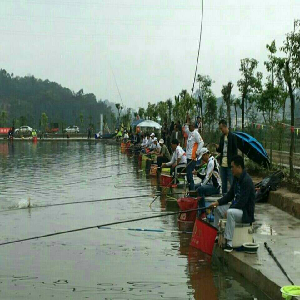 荷花塘垂钓中心