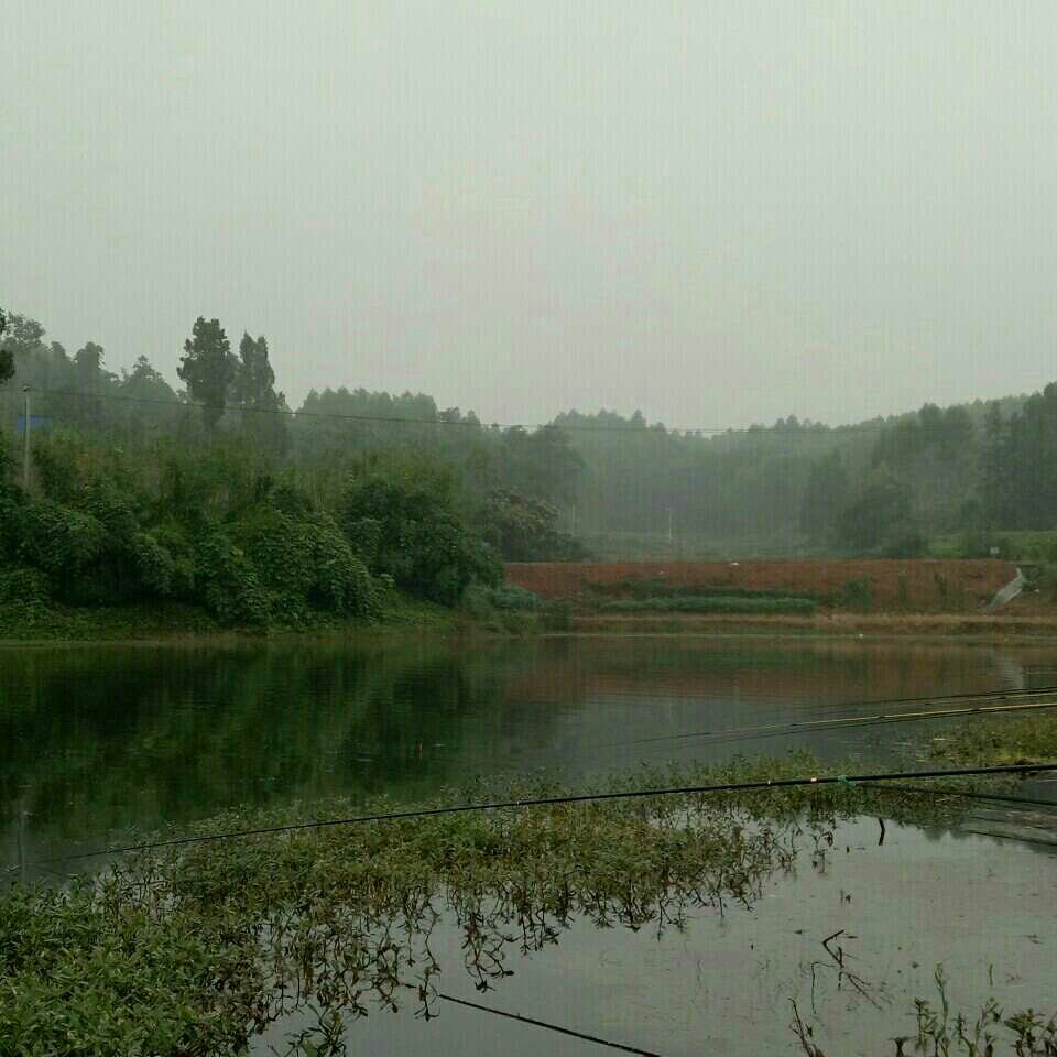 眉山锅铲沟水库_锅铲沟水库地址和电话信息 - 好钓鱼