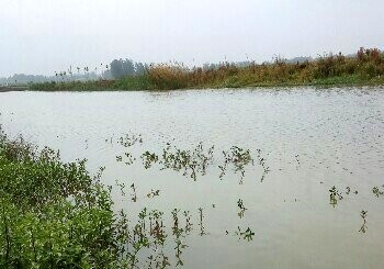 小溪菜园蓄水沟