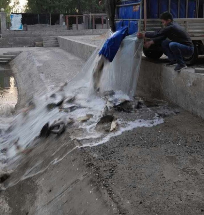 京南沙河垂钓园