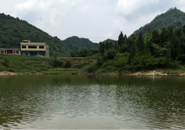 青杠寨鱼塘