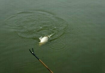 淮河水利工程吸流口