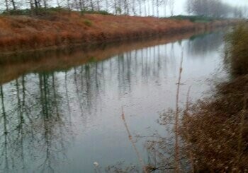 马拉沟垂钓中心