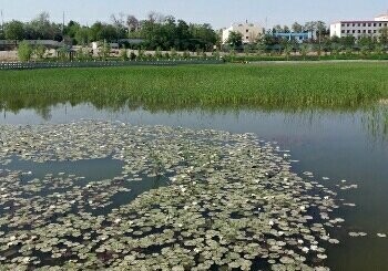 白银水川湿地公园