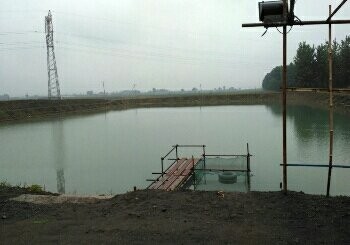 大郑台休闲垂钓园