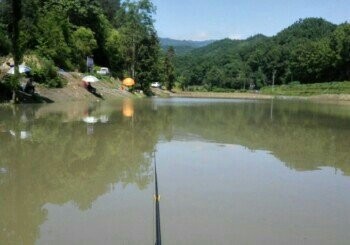 草池湾垂钓中心