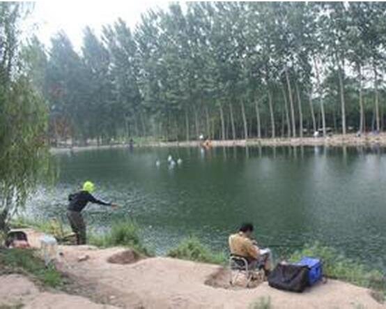 雨乐苑农庄钓场