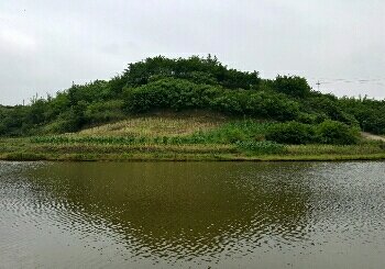 观音大田生态鱼垂钓