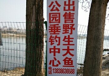 公园垂钓中心