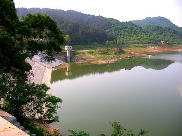 宝哥休闲钓鱼场