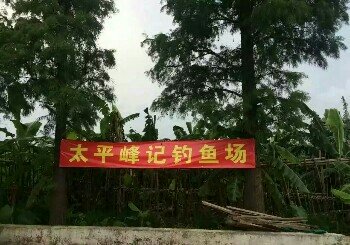 太平峰记钓鱼场