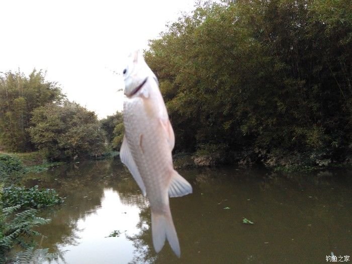 贺江支流酒井河石基处