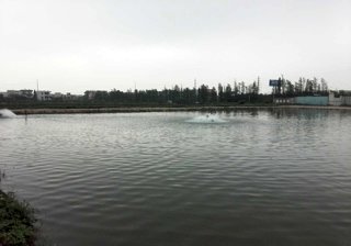 东凤泉林海钓场