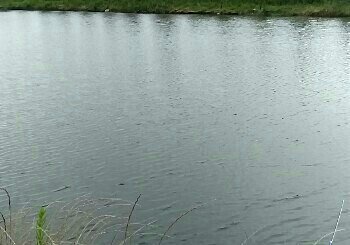 尚荡湖垂钓中心